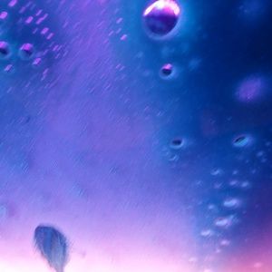 Meet your Posher, Mj